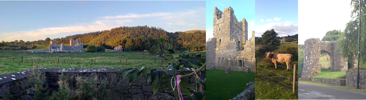 Mainistir an Fhobhair, Fore Abbey. County Westmeath